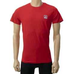 Diesel T-Shirt »T-DIEGO-DIV«